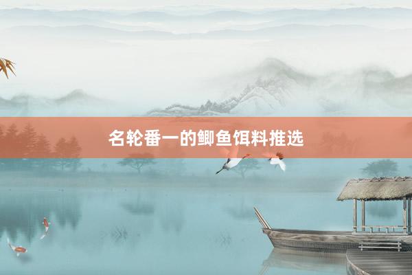 名轮番一的鲫鱼饵料推选